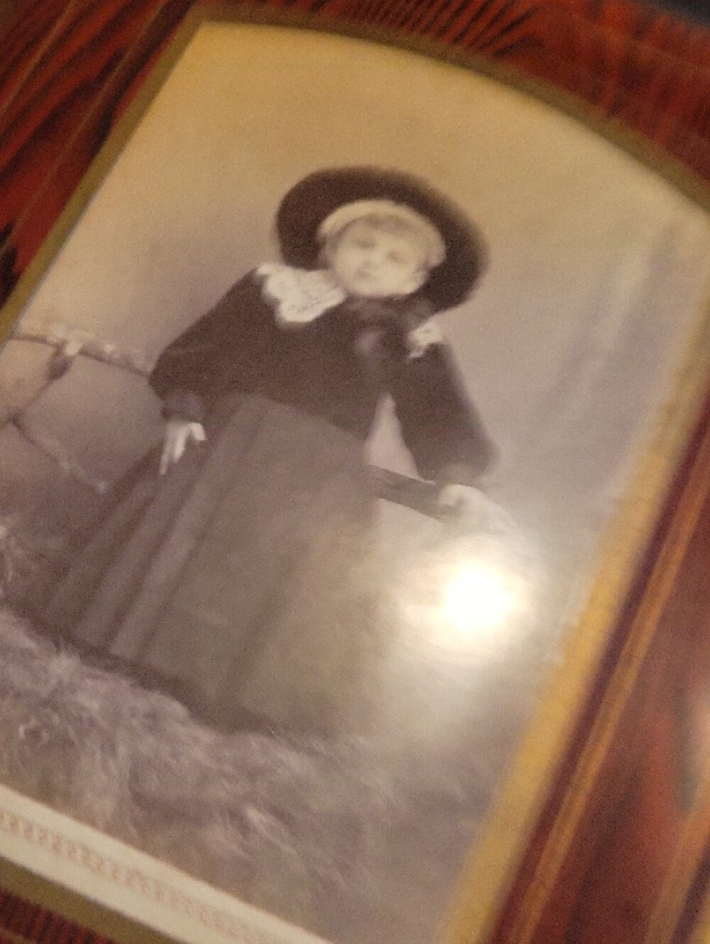 Antique Velvet Parlor Photo Album~ Velvet~ 46  Photos - Picture 10 of 12